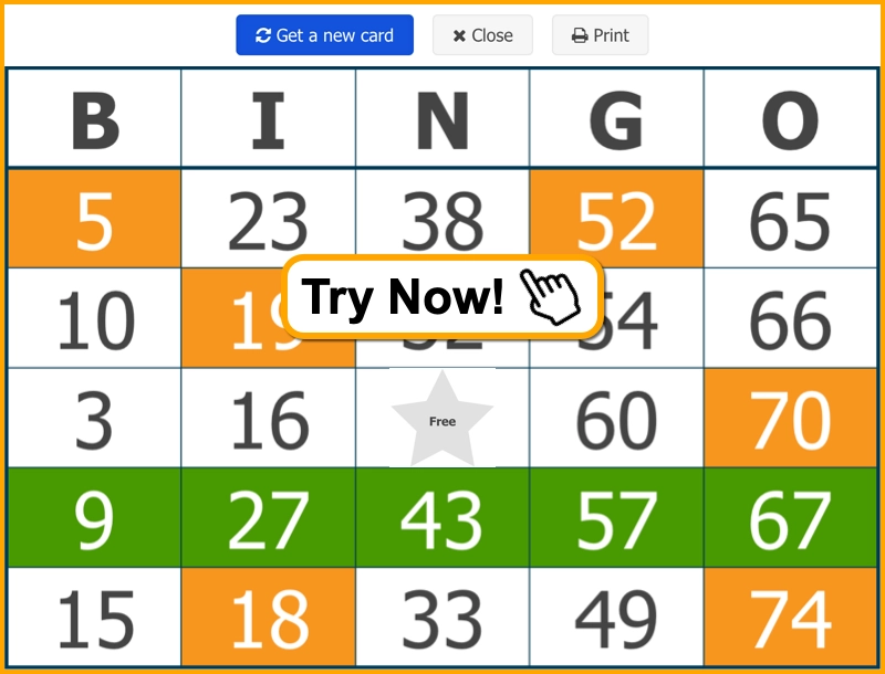 Bingo Virtual